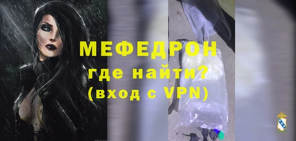 индика Арсеньев