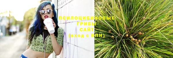 сатива Фурманов