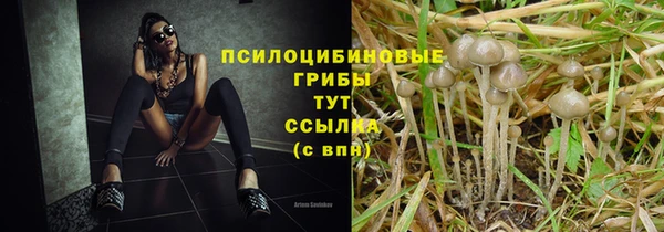 индика Арсеньев