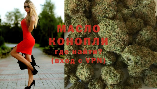 индика Арсеньев
