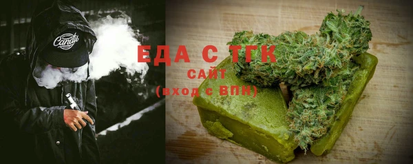 индика Арсеньев