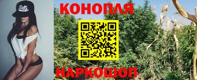 гидра Краснокаменск