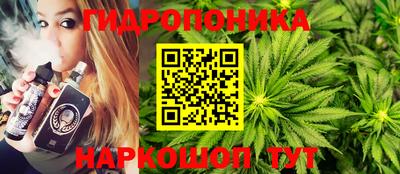 гидра Краснокаменск