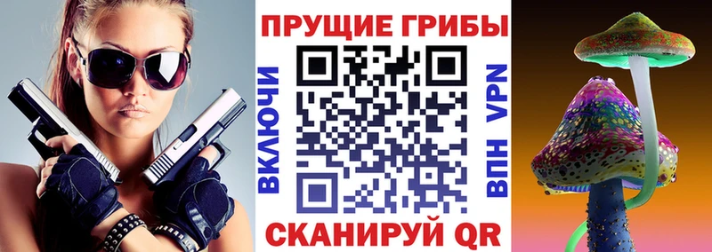 продажа наркотиков  Кемерово  Псилоцибиновые грибы Cubensis 