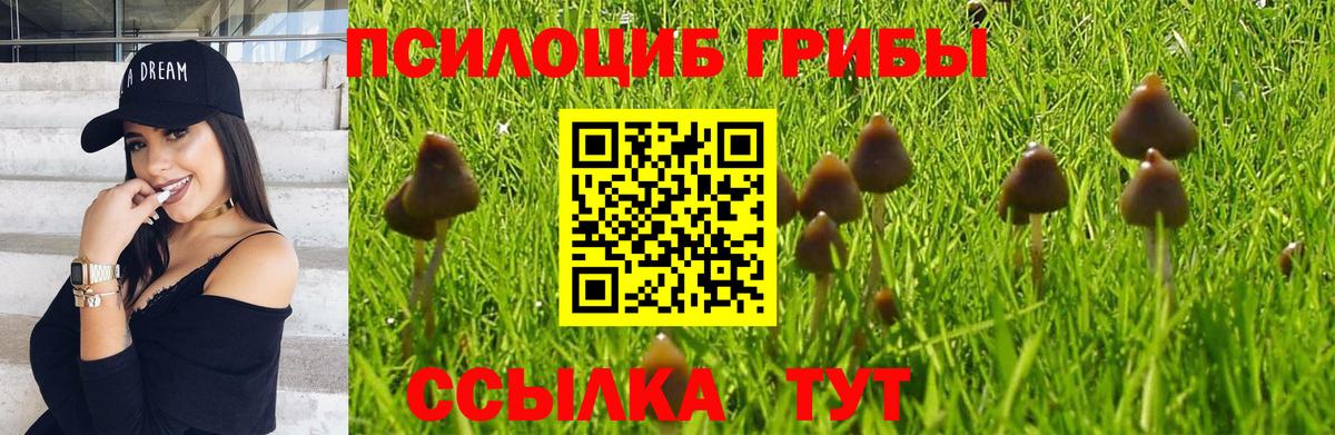 Псилоцибиновые грибы прущие грибы Кемерово